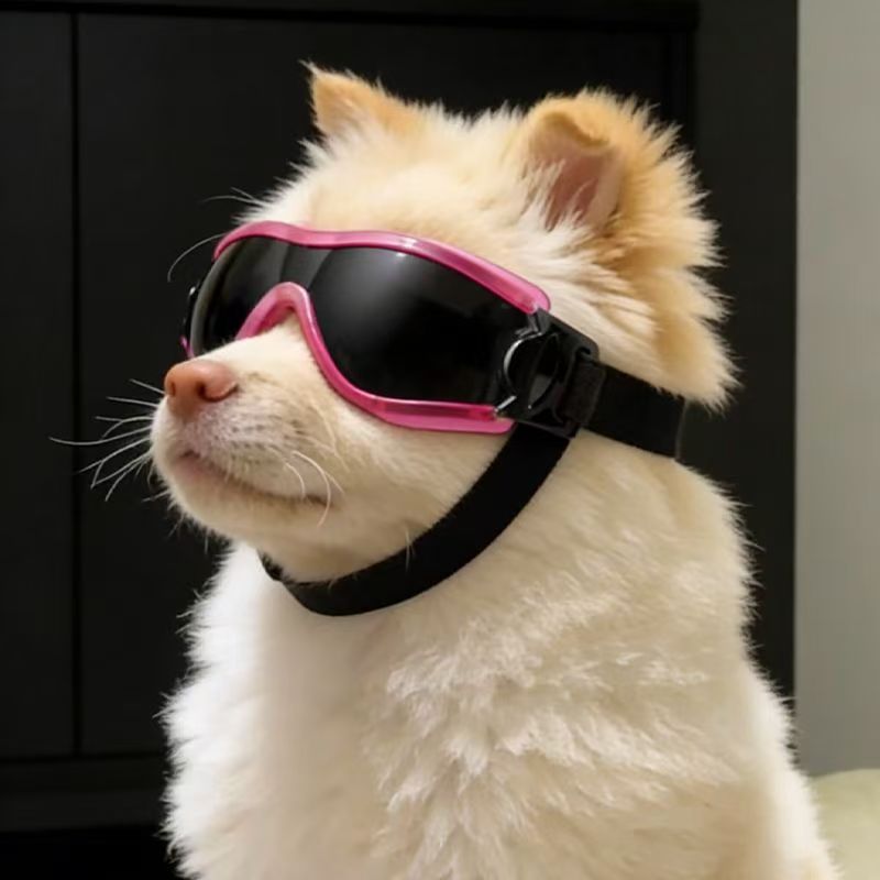 Occhiali Protettivi per Cani d - Sunglass Retainer Cord recensione e prezzo